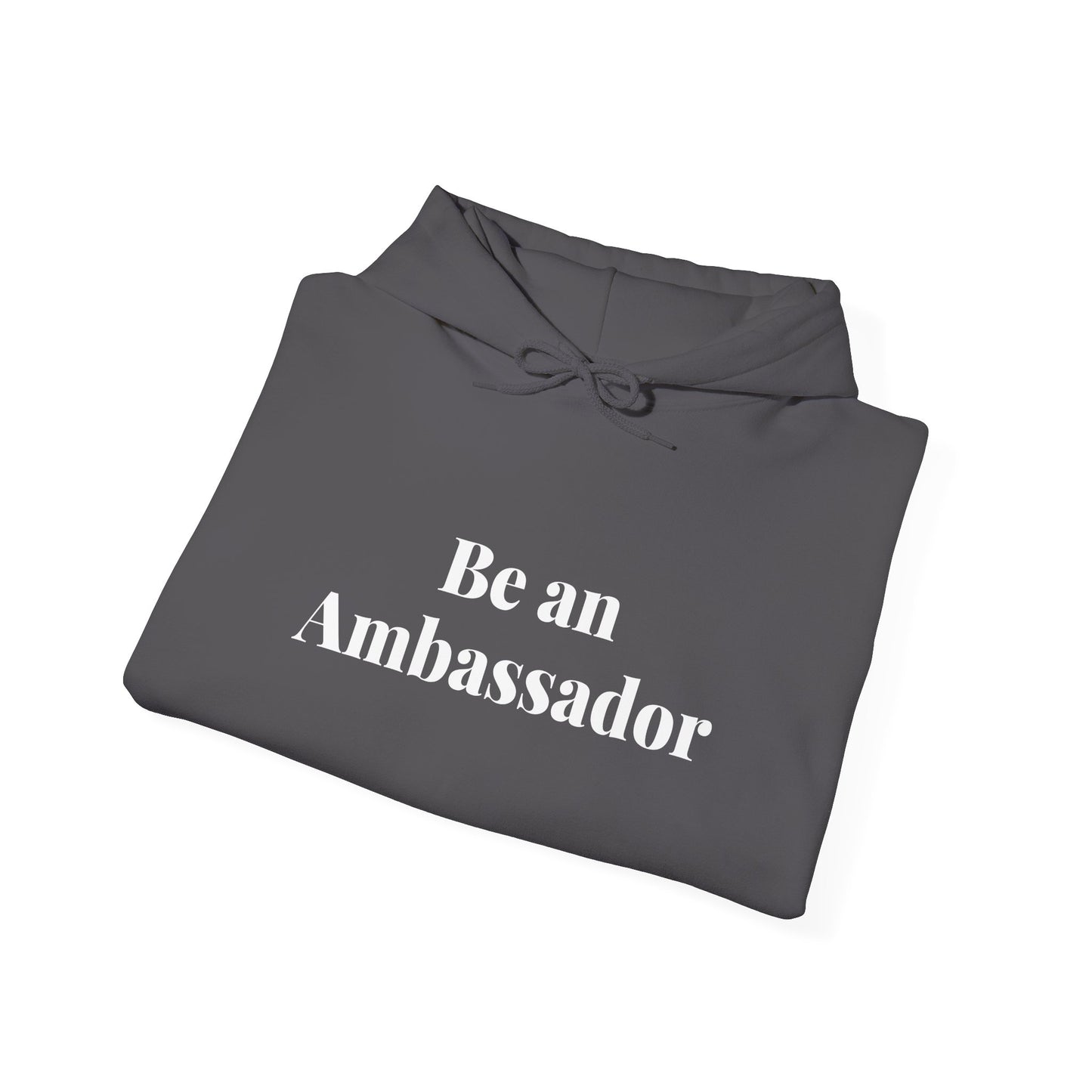 Be an Ambassador | Hoodie