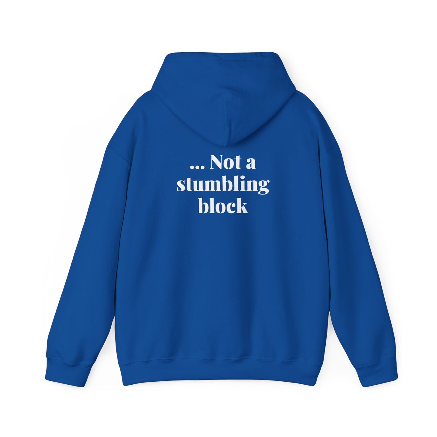 Be an Ambassador | Hoodie