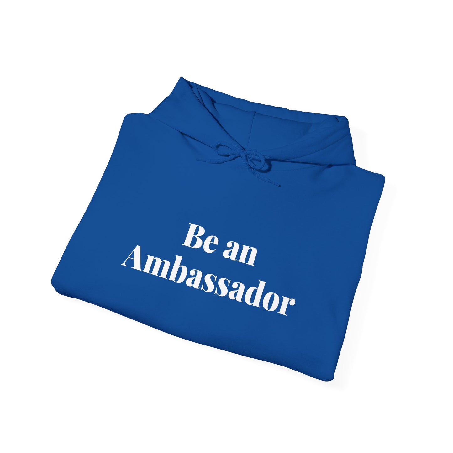 Be an Ambassador | Hoodie
