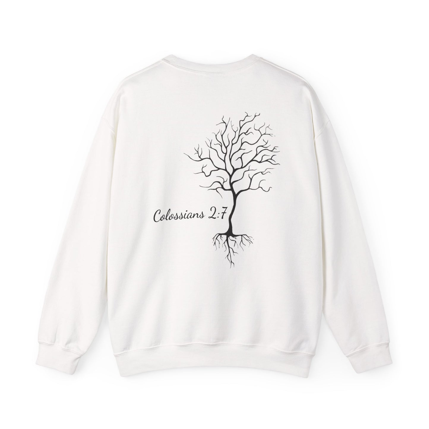 Rooted & Ready | Colossians 2:7