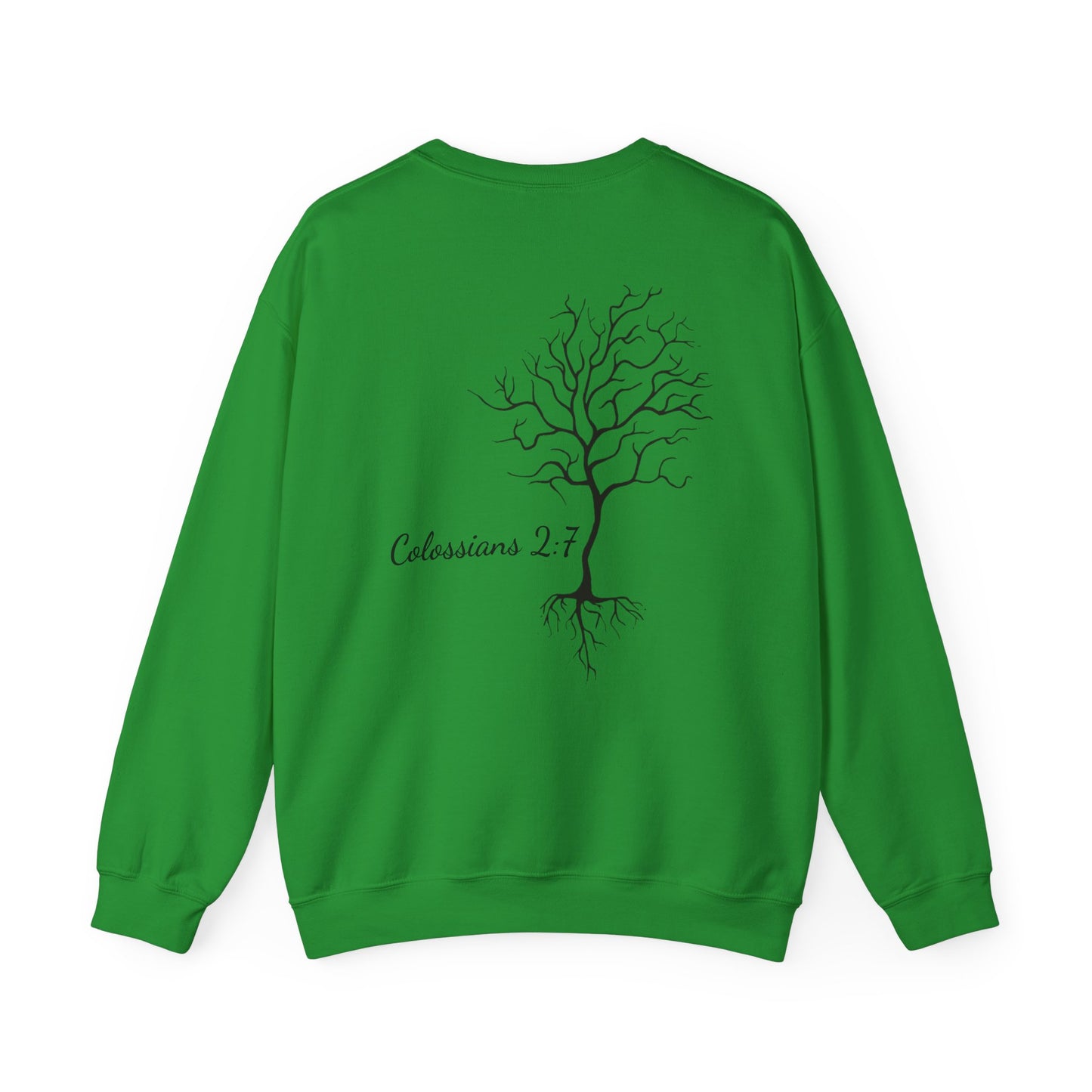 Rooted & Ready | Colossians 2:7