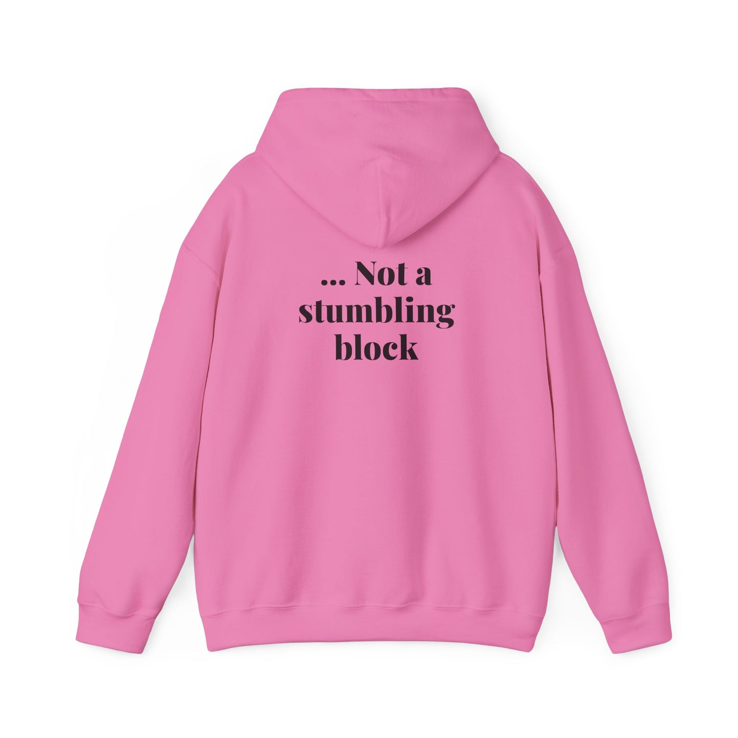 Be an Ambassador | Hoodie