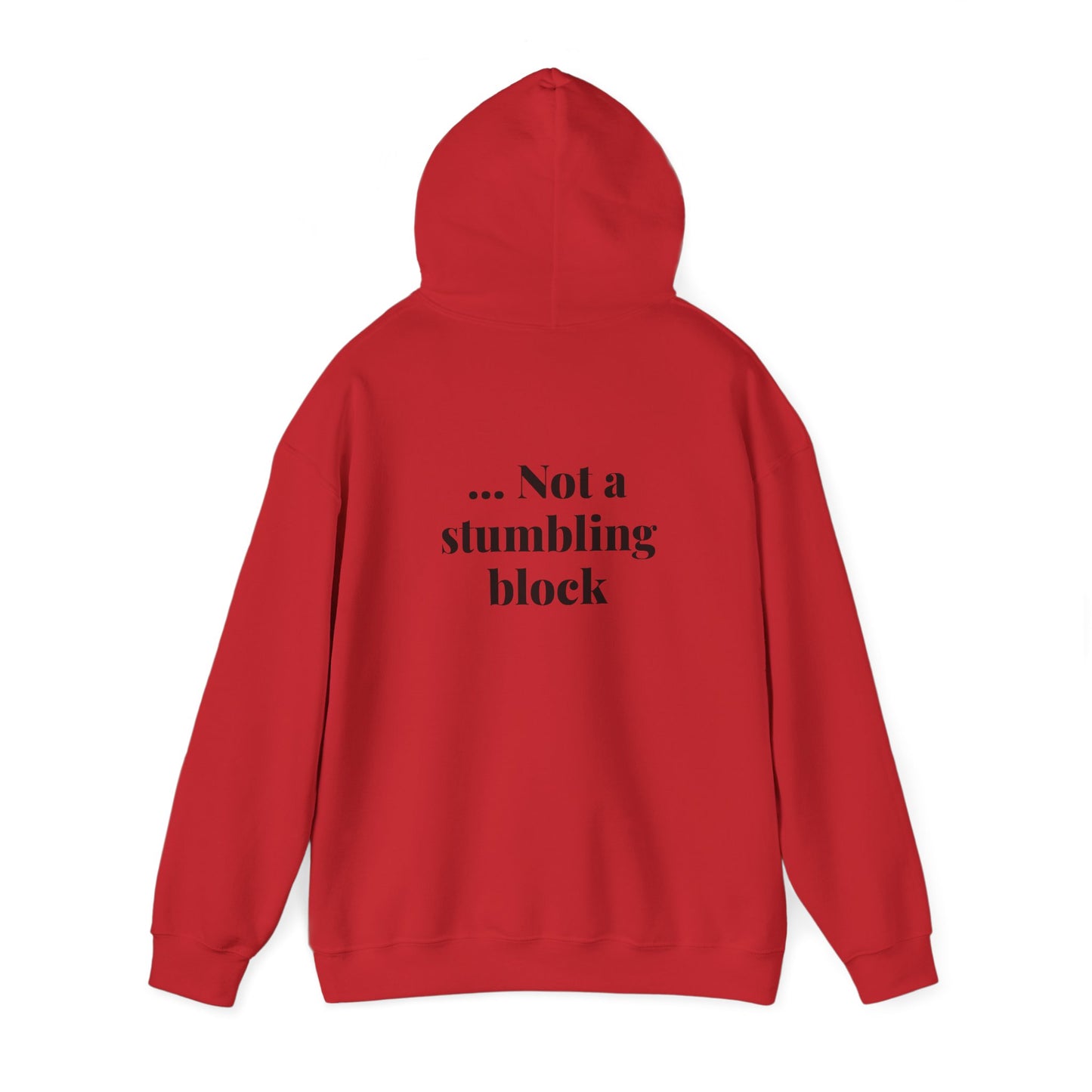 Be an Ambassador | Hoodie