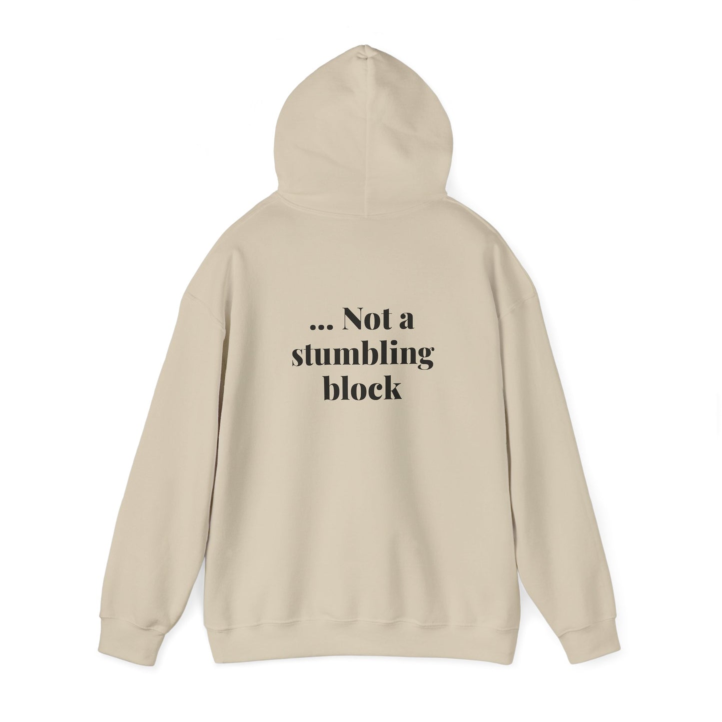 Be an Ambassador | Hoodie