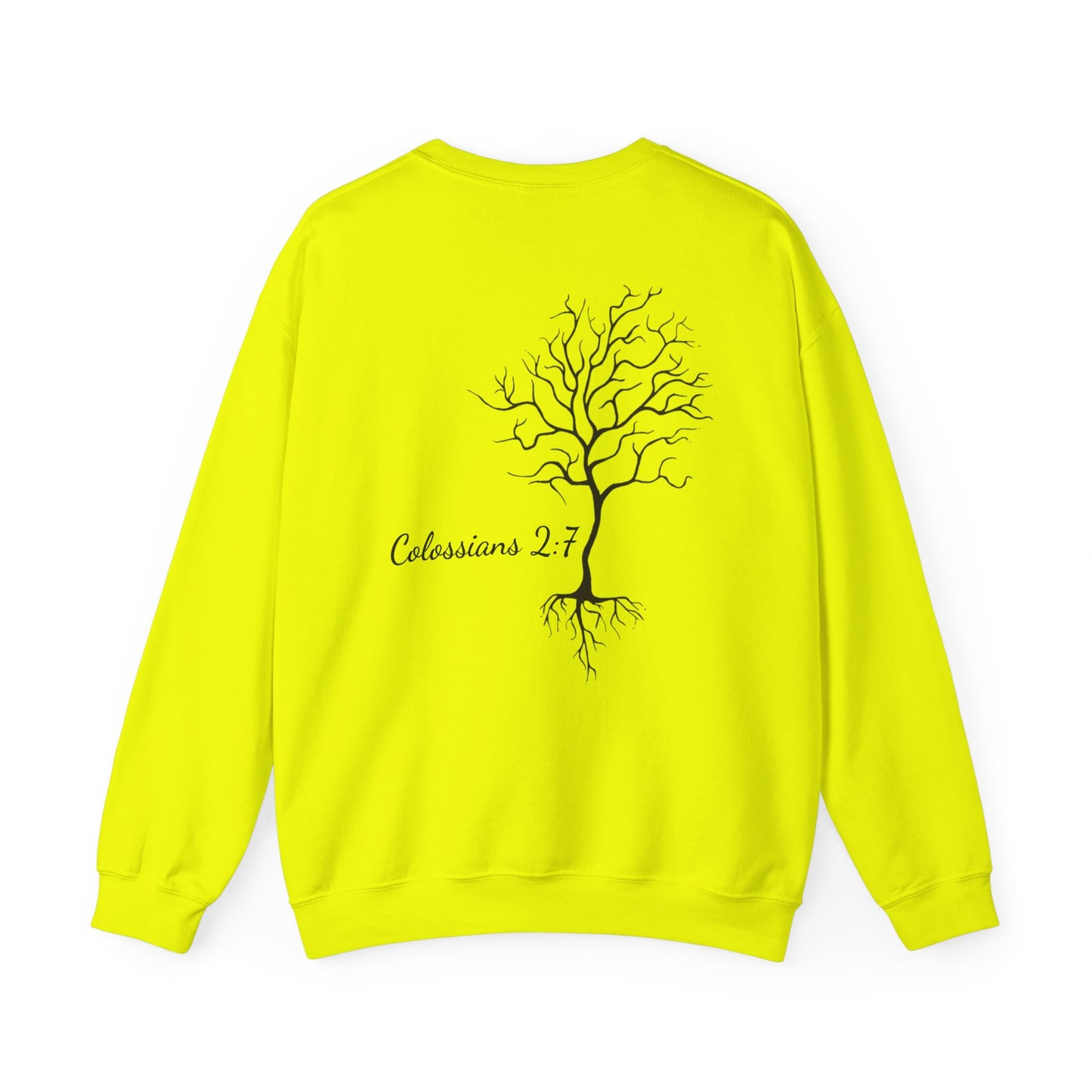 Rooted & Ready | Colossians 2:7
