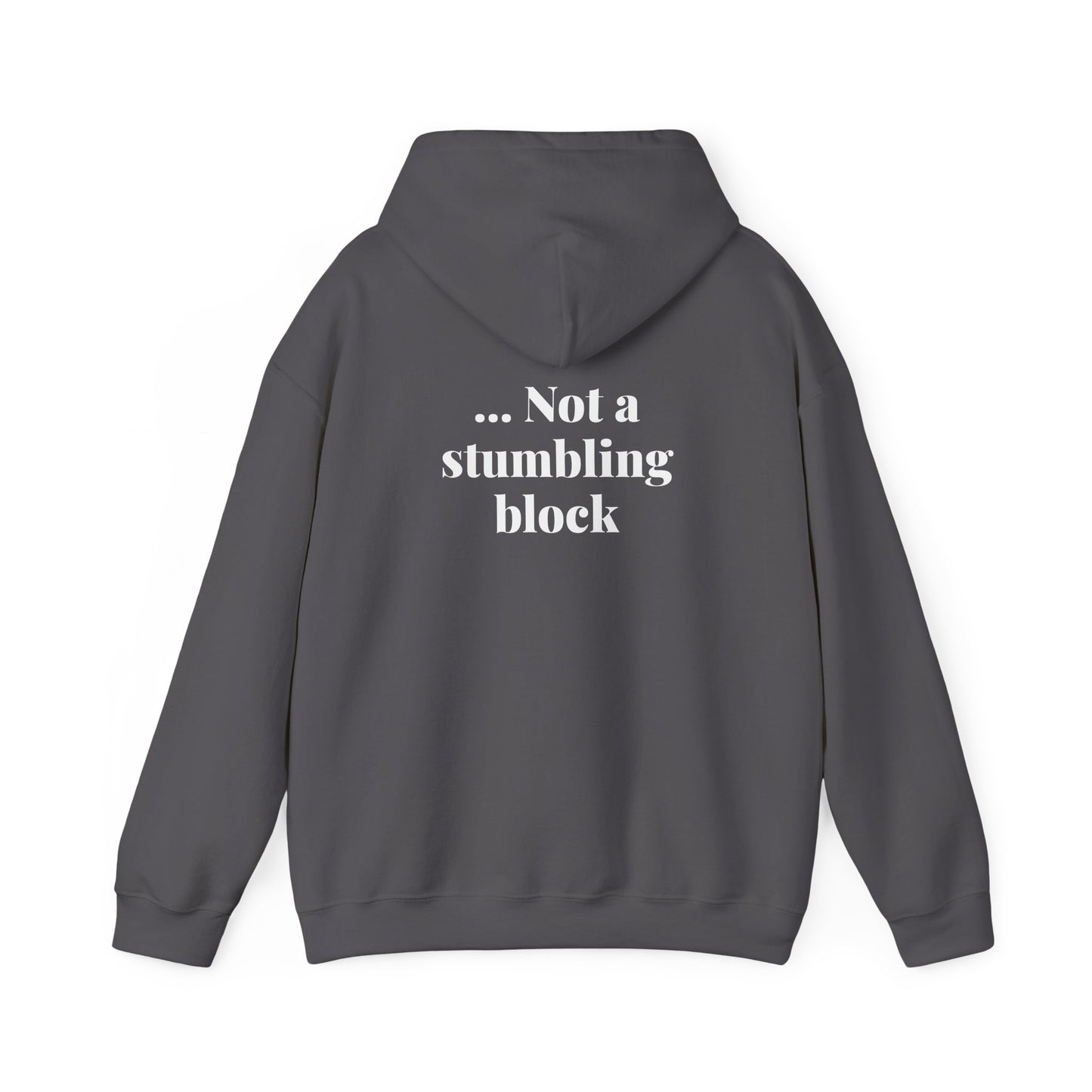Be an Ambassador | Hoodie