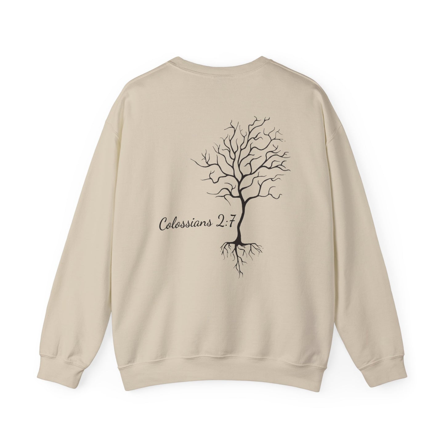 Rooted & Ready | Colossians 2:7