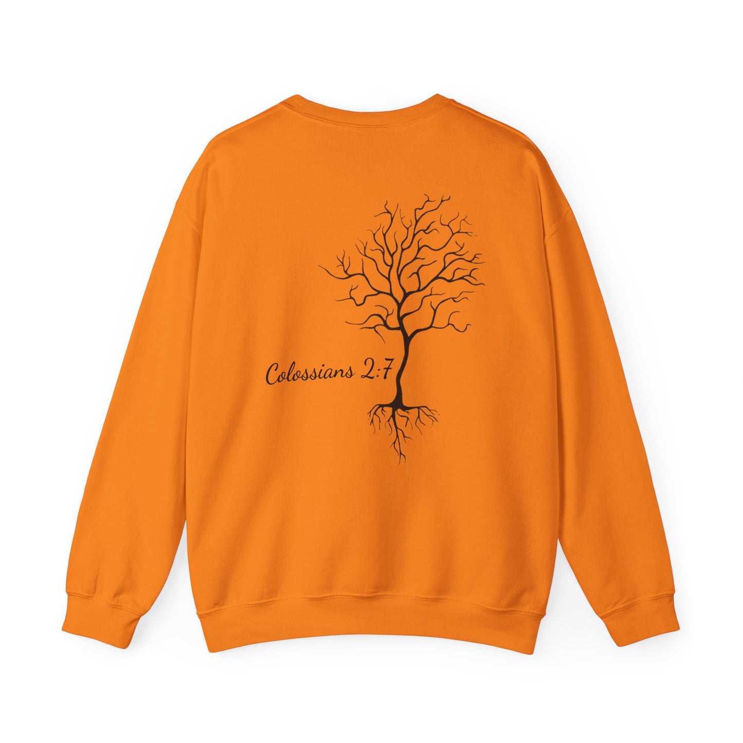 Rooted & Ready | Colossians 2:7
