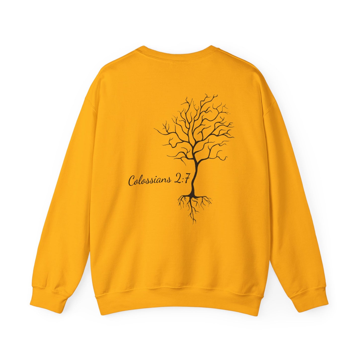 Rooted & Ready | Colossians 2:7