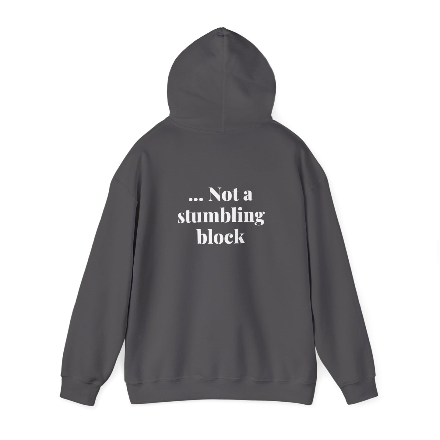 Be an Ambassador | Hoodie
