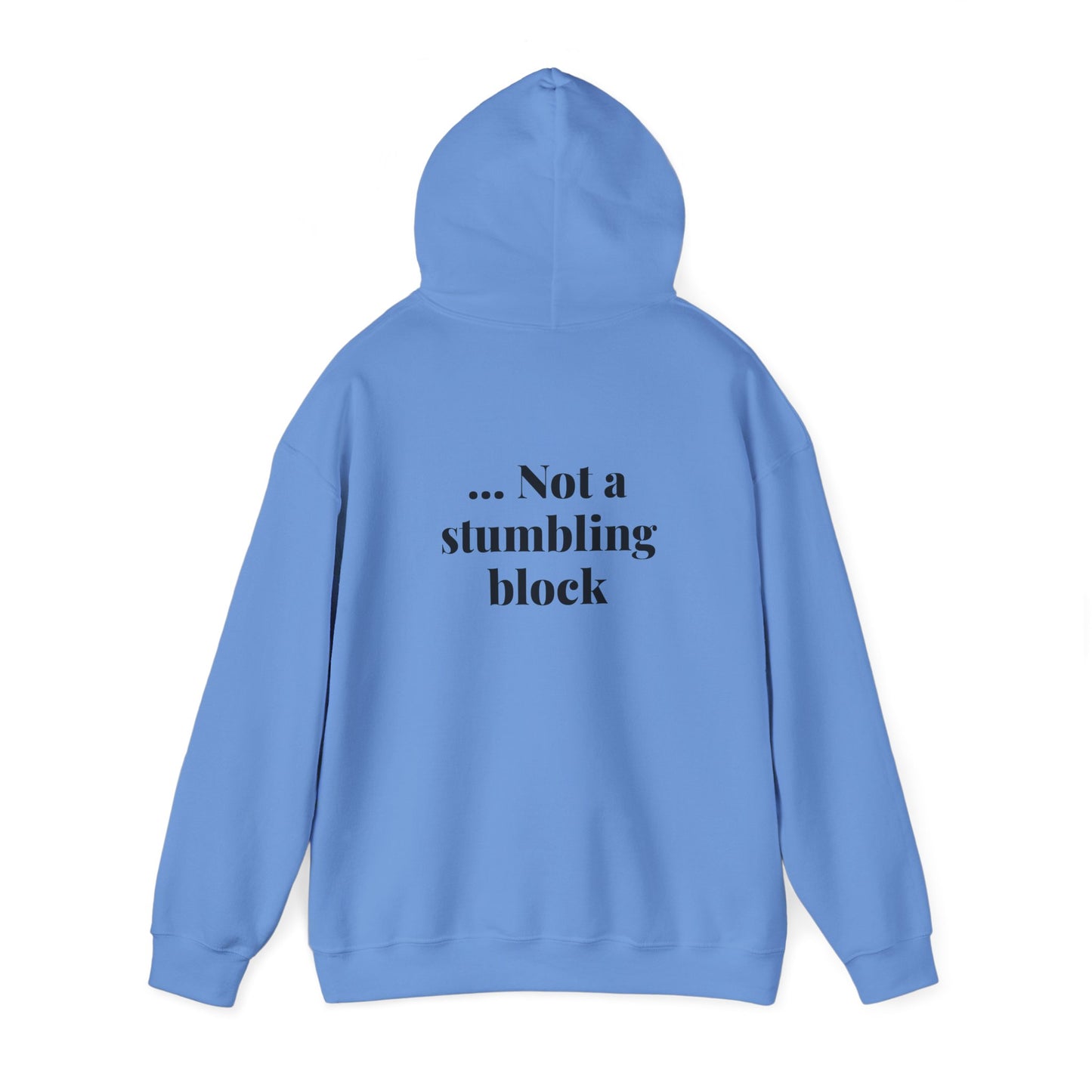 Be an Ambassador | Hoodie