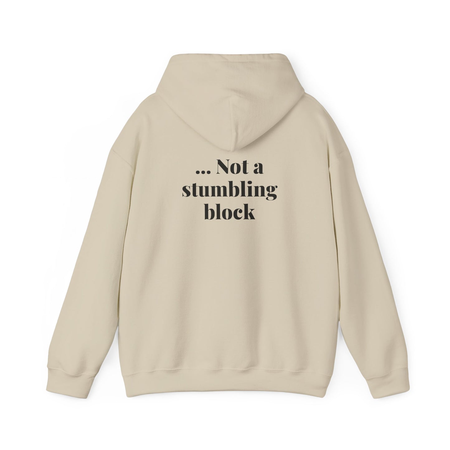 Be an Ambassador | Hoodie