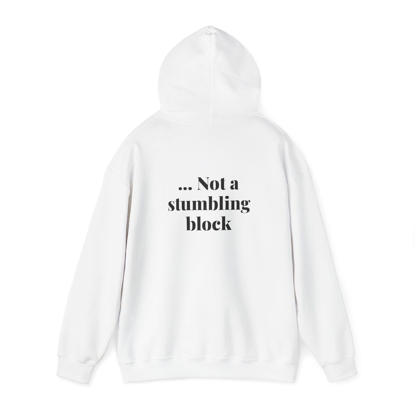 Be an Ambassador | Hoodie
