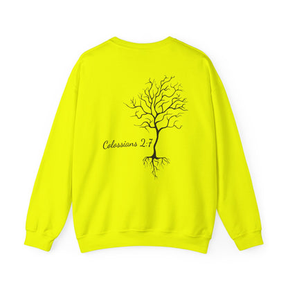 Rooted & Ready | Colossians 2:7