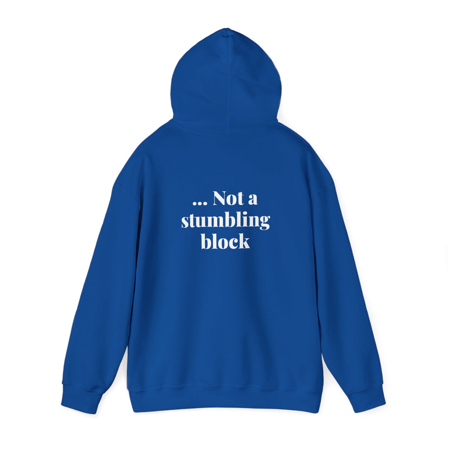 Be an Ambassador | Hoodie