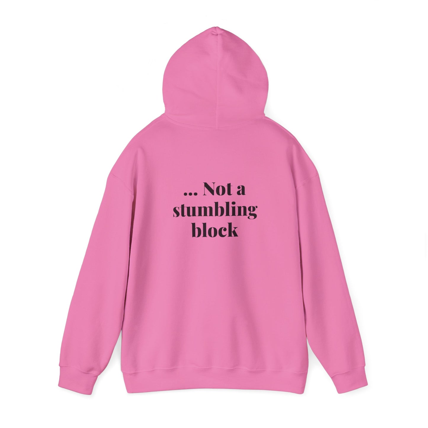 Be an Ambassador | Hoodie