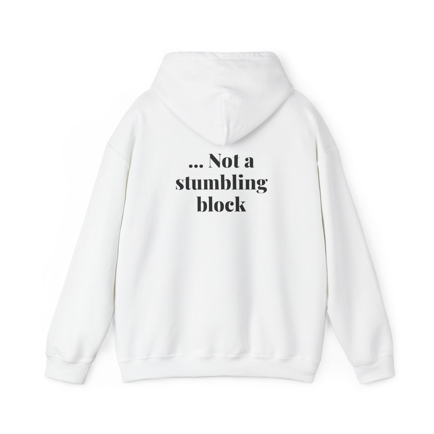 Be an Ambassador | Hoodie
