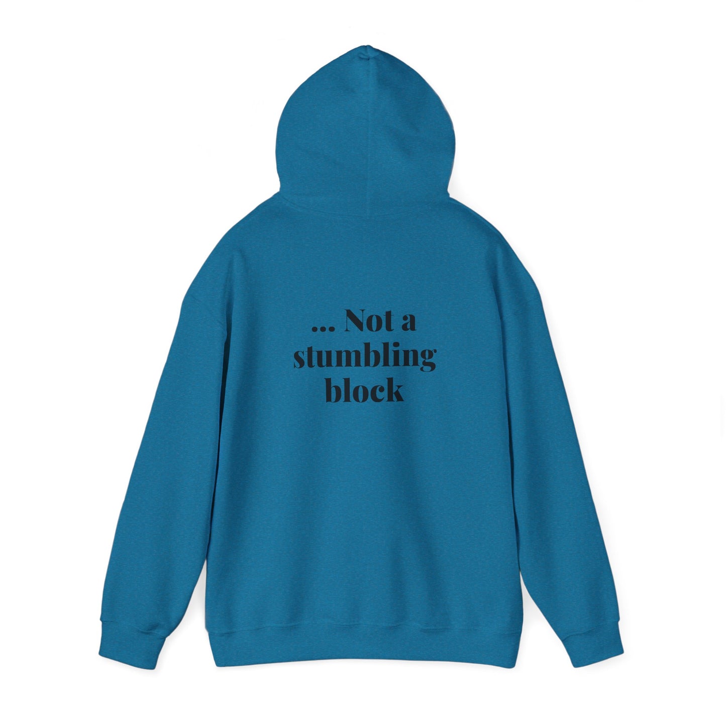 Be an Ambassador | Hoodie